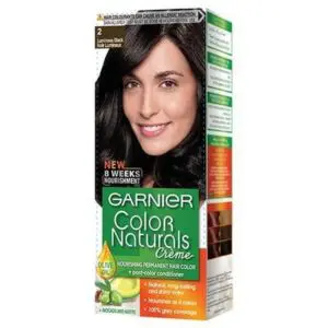 Garnier Hair Color Naturals Luminous Black 2.0