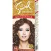 Samsol Hair Dye - 36 Chocolate Brown -