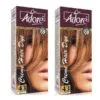 pack of 2 adore hair color