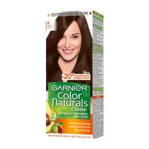 Garnier Hair Color Natural Brown