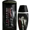 Lomani Body & Soul Perfume For Men (100ml)