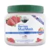 Hollywood Style Exfoliating Berries Mud Mask (320gm)