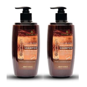 Derma Sense Argan Oil Shampoo (400ml) Combo Pack