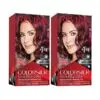 Revlon Colorsilk Hair Color 48 Burgundy (Combo Pack)