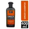 XHC Ginger Anti Dandruff Shampoo (400ml)