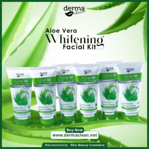 Derma Clean Aloe Vera Whitening Facial Kit (Pack of 6)
