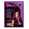 Godrej Easy Fast Hair Color Shampoo Burgundy (25ml)
