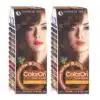Coloron Permanent Hair Dye #10 (Chocolate Honey Brown) Combo Pack