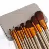 12-Pcs Cosmetic Makeup Brushes Set (Golden in Color)