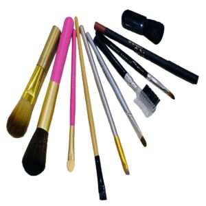 Makeup Brushes Pack of 10 Professional Use
